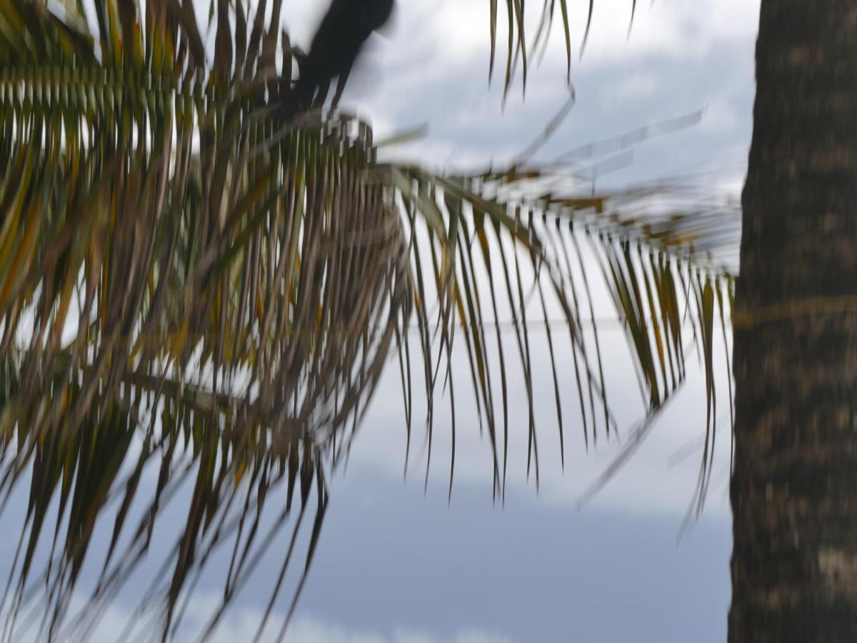 Marari Sealap Beach Villas Mararikulam Εξωτερικό φωτογραφία